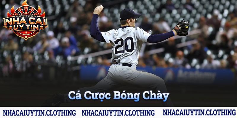 Cá cược bóng chày cược hấp dẫn chỉ có tại CMD sports